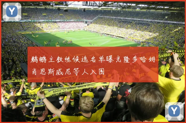 鹈鹕主教练候选名单曝光隆多哈姆肖恩斯威尼等人入围