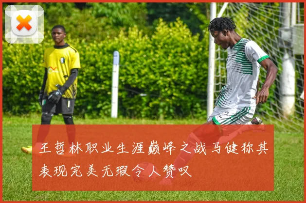 王哲林职业生涯巅峰之战马健称其表现完美无瑕令人赞叹